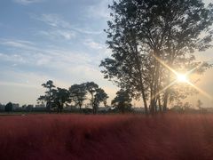 -汉长安城未央宫国家考古遗址公园