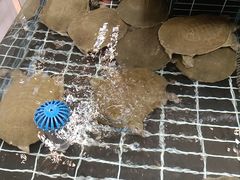 -五味坊·大渔市(瑞丰商博城店)