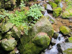 -藏龙百瀑风景区