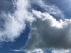 -尼莫海豚馆
