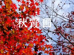 -秋霞圃