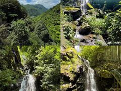 -老李家土菜馆·安吉地标美食