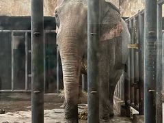 -石家庄市动物园