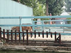 -酷鱼垂钓CLUB(朝阳区博大路店 )