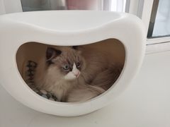 -一间摄影工作室(天安云谷店)