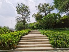 -广州七星岗古海岸遗址科学公园