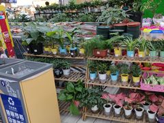 -大润发(张江店)