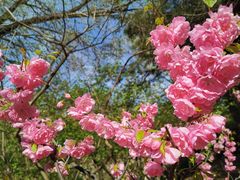 -海棠花溪(元大都城垣遗址公园)