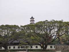 -江心屿景区