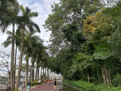 -南宁南湖公园