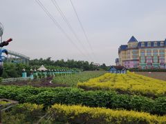 -百万葵园