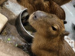 -Zoolung Zoolung动物主题公园(海信广场店)