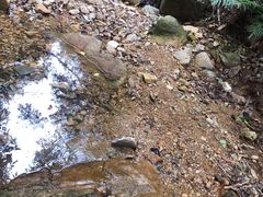 -牛鱼嘴原始生态风景区