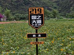 -靖西鹅泉风景区