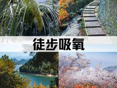 -莫干山风景区