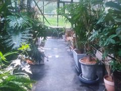 -北马山庄植趣咖啡
