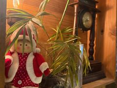 -樹下遇见树·咖啡