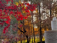 -浙江大学(紫金港校区)