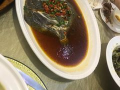 -金龙渔港(双楠店)