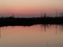 -盒马鲜生(首义店)