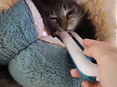 -藏猫猫咖啡主题馆(中央大道店)