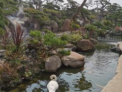 -罗红摄影艺术馆