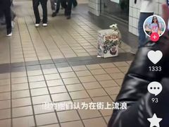 -约翰·菲茨杰拉德·肯尼迪国际机场