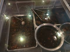 -鸿运兔·手撕烤兔(天府广场店)