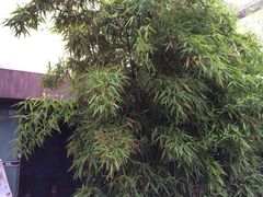 iphone_upload_pic-粗茶淡饭·隐庐私厨(东亭店)