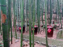 -祁门牯牛降观音堂风景区