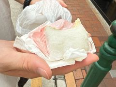 -澳门长洲糯米糍(柯打苏沙街店)