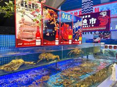 -驻海渔市(置信店)