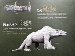 -衢州市博物馆