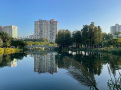 -四海公园(南山区)