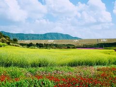 -光明小镇欢乐田园