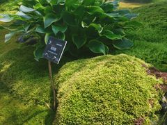 -上海植物园-4号门售票处