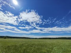 -塞罕坝国家级自然保护区