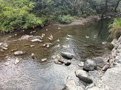 -石台牯牛降景区