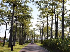-芒洲湿地公园