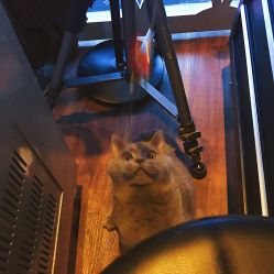 -飛凡TATTOO纹身•原创