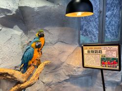 -Zoolung Zoolung动物主题公园(海信广场店)