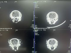 -北京观赏动物医院·24小时大型综合·猫专科·异宠专科
