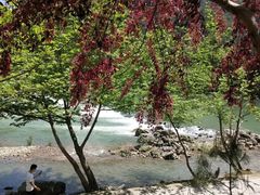 -楠溪江风景名胜区