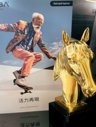-Fundi张玉珊修身堂·indiba·BTL科技瘦身