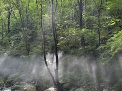 -牛背梁国家森林公园