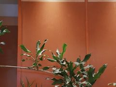 -奈雪的茶(印象城店)