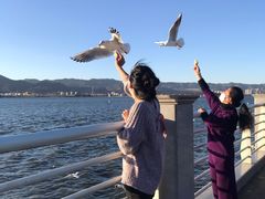 -滇池海埂公园