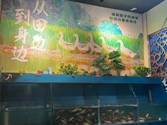 -湘当有味(宋诏桥一店)