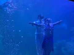 -左海海底世界