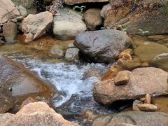 -广州白江湖森林公园